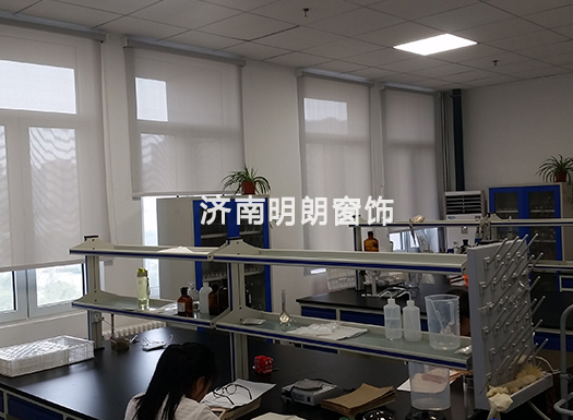 秋葵视频黄色网站