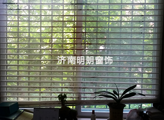 秋葵视频黄色网站