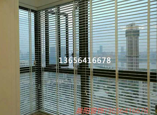 秋葵视频黄色网站